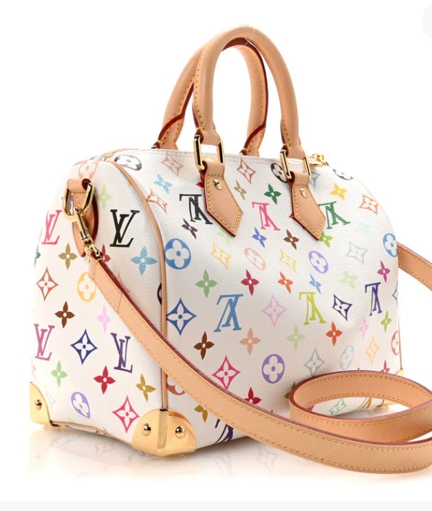 LV Speedy Bag